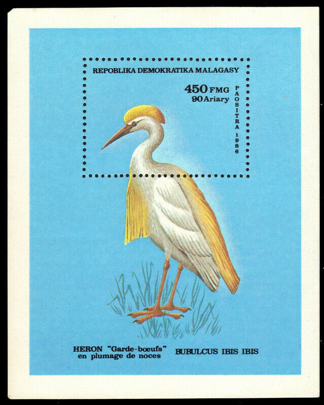 MADAGASCAR 778 - Dimorphic Egret 