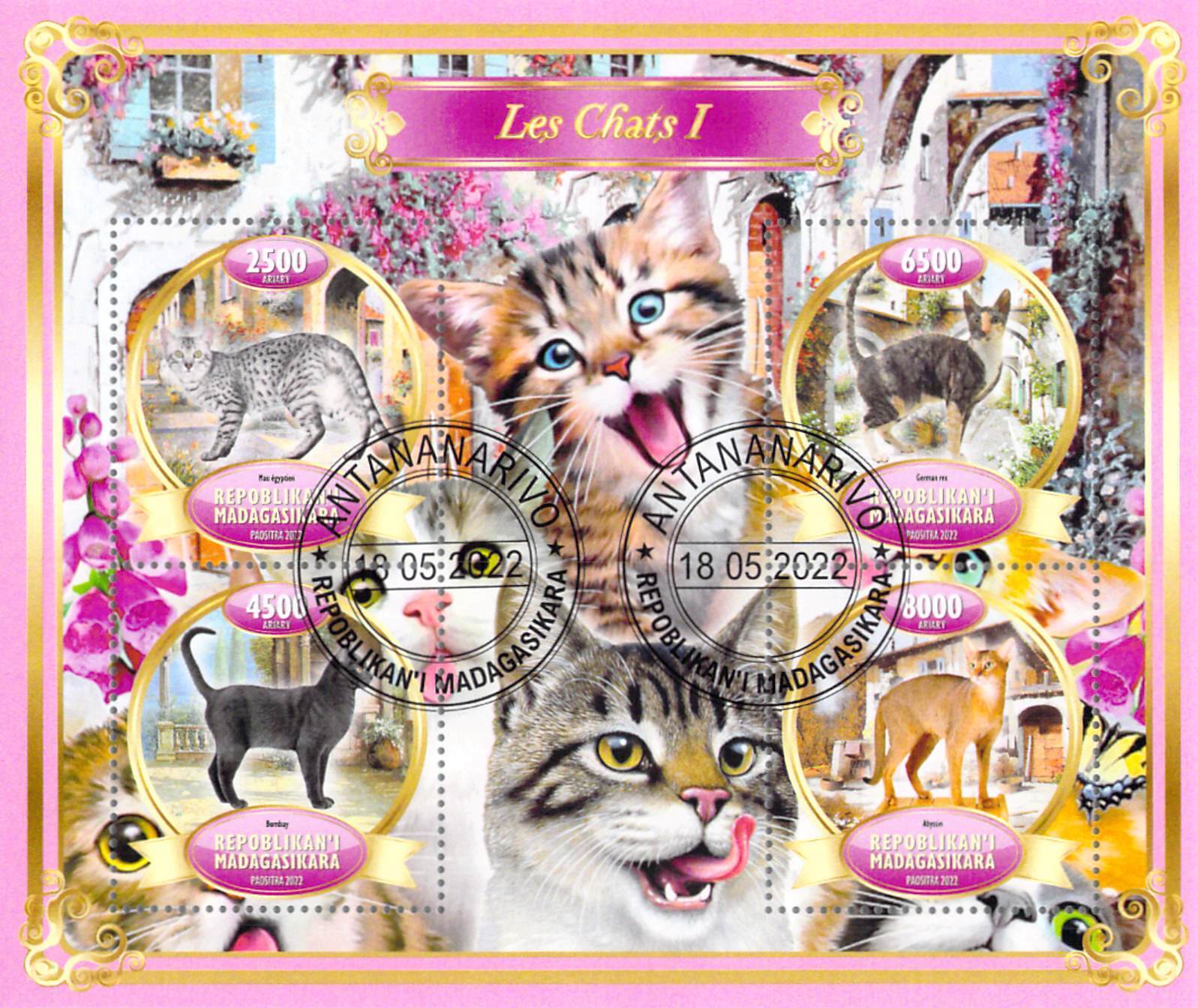 Madagascar 2022 Sheet  Cats breeds 6 values (TS0061)
