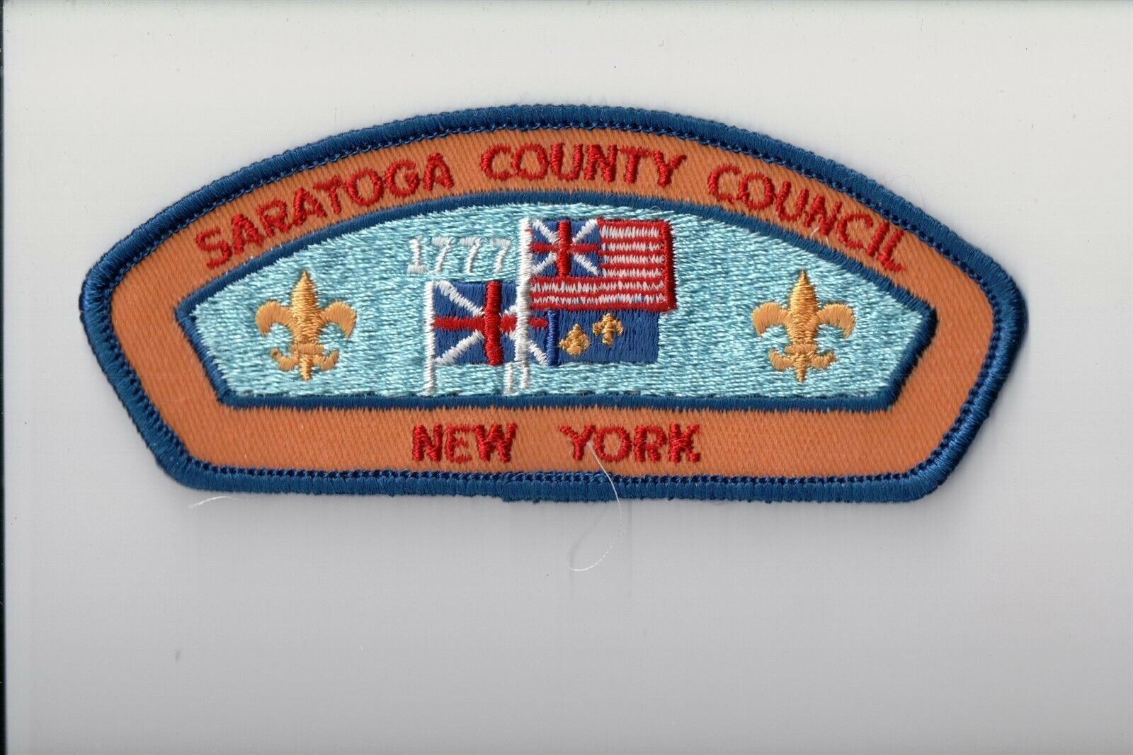Saratoga County Council Csp (d)