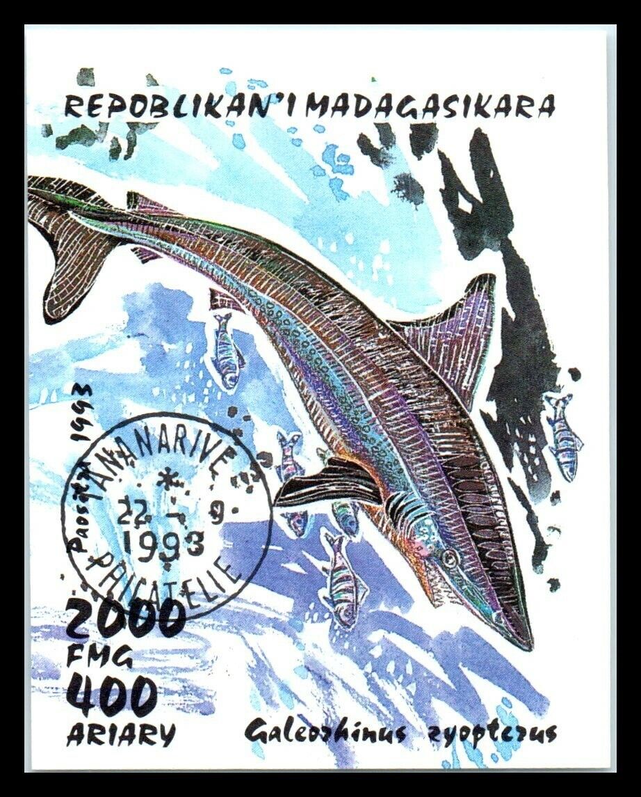 1993 MADAGASCAR Souvenir Sheet - Sharks, Galeorhinus zyopterus J1