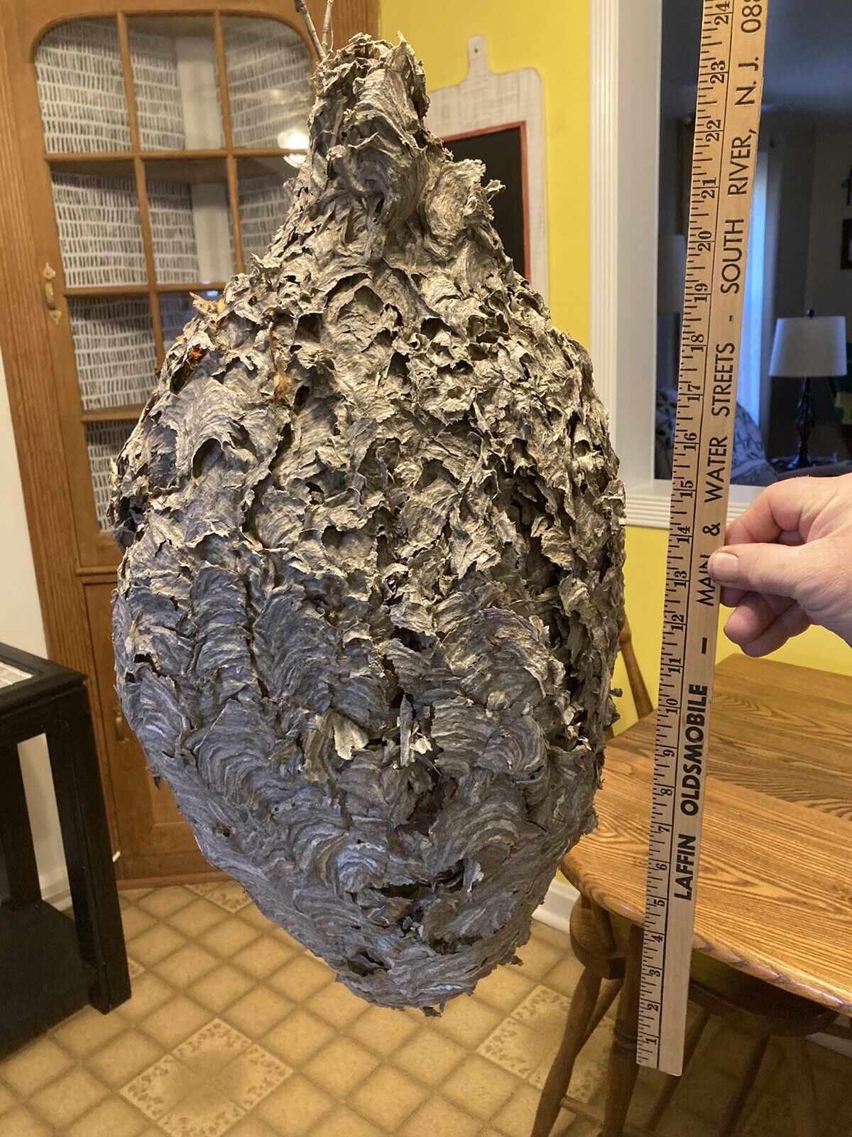 Large Paper Hornet Wasp Bee Hive Nest Big