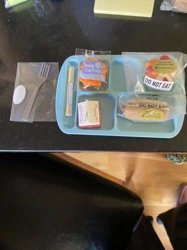 American Girl Doll Lunch Tray Just Like At School New